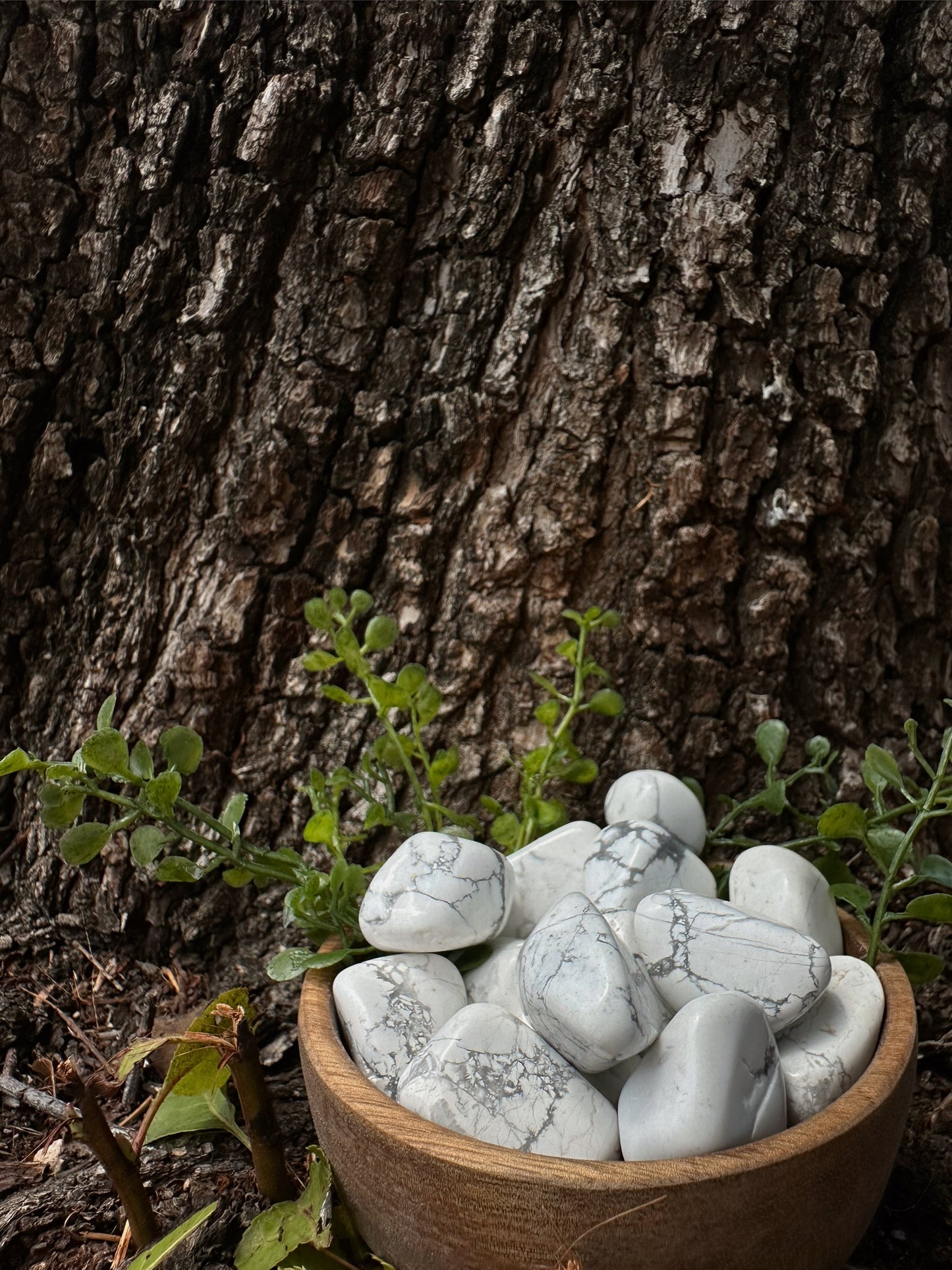 Howlite