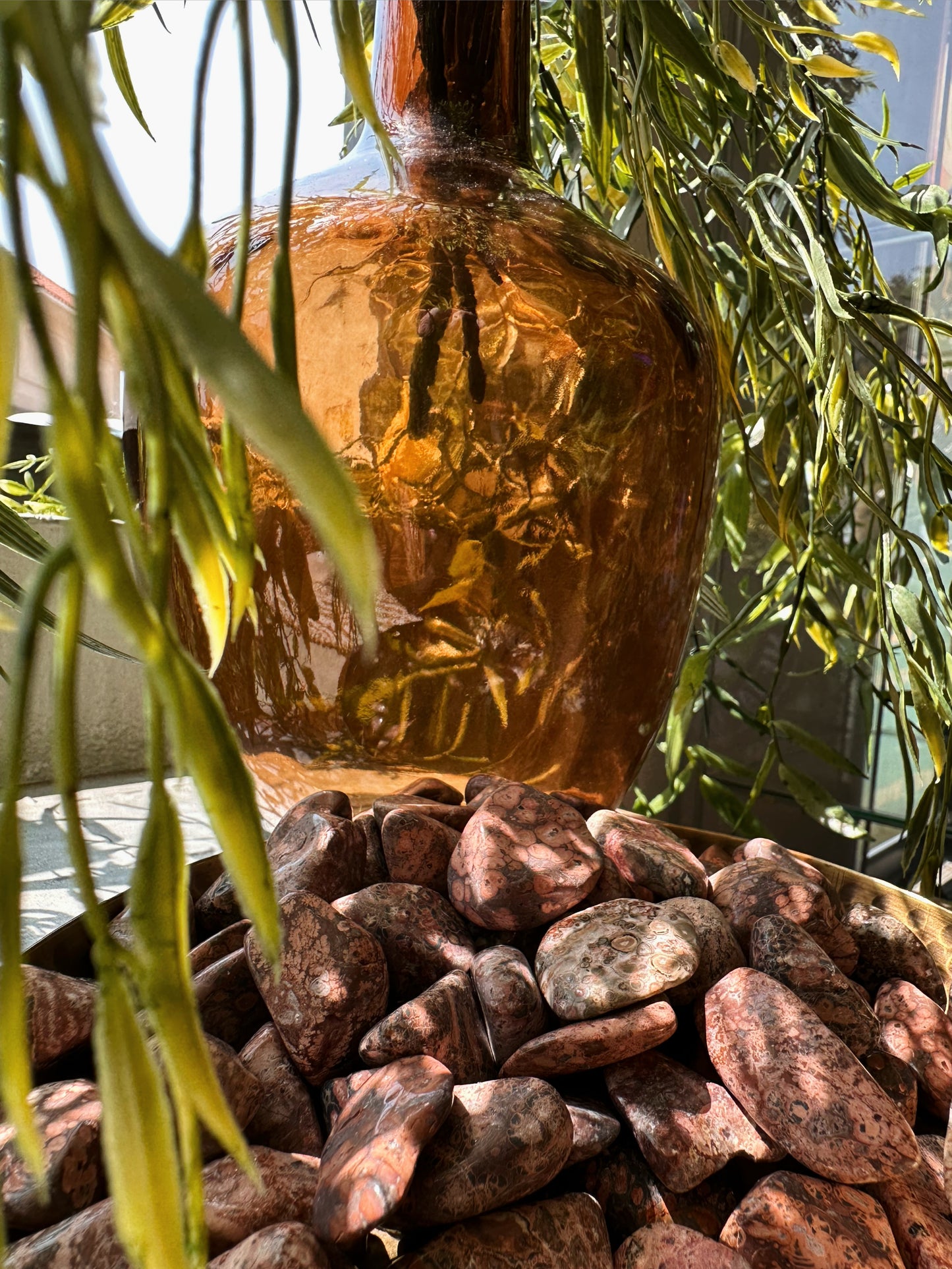 Leopardskin Jasper