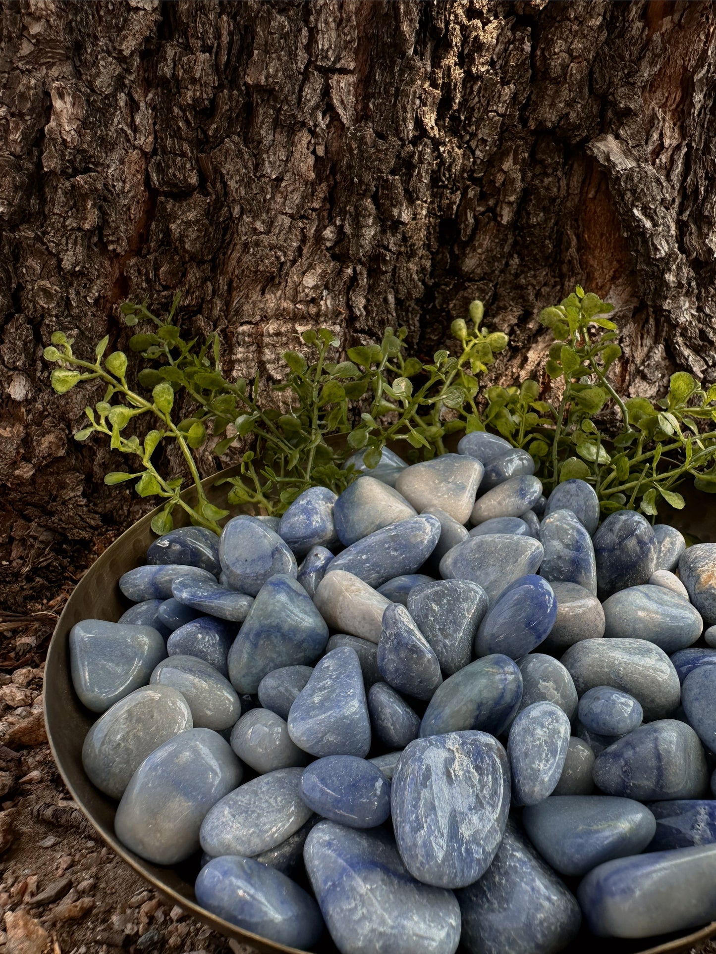 Blue Aventurine - Tumbled