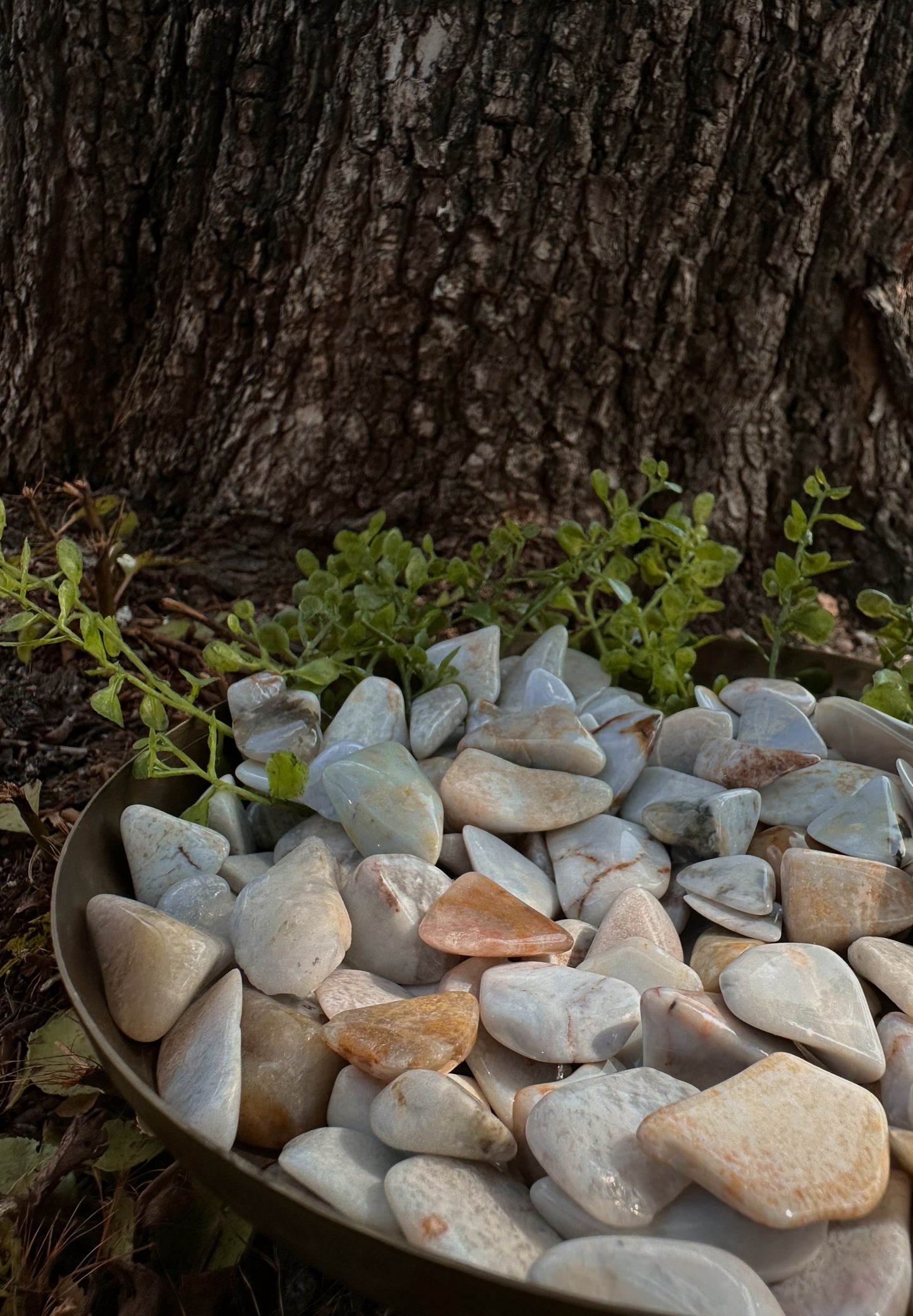 Blue Chalcedony - Tumbled, Small