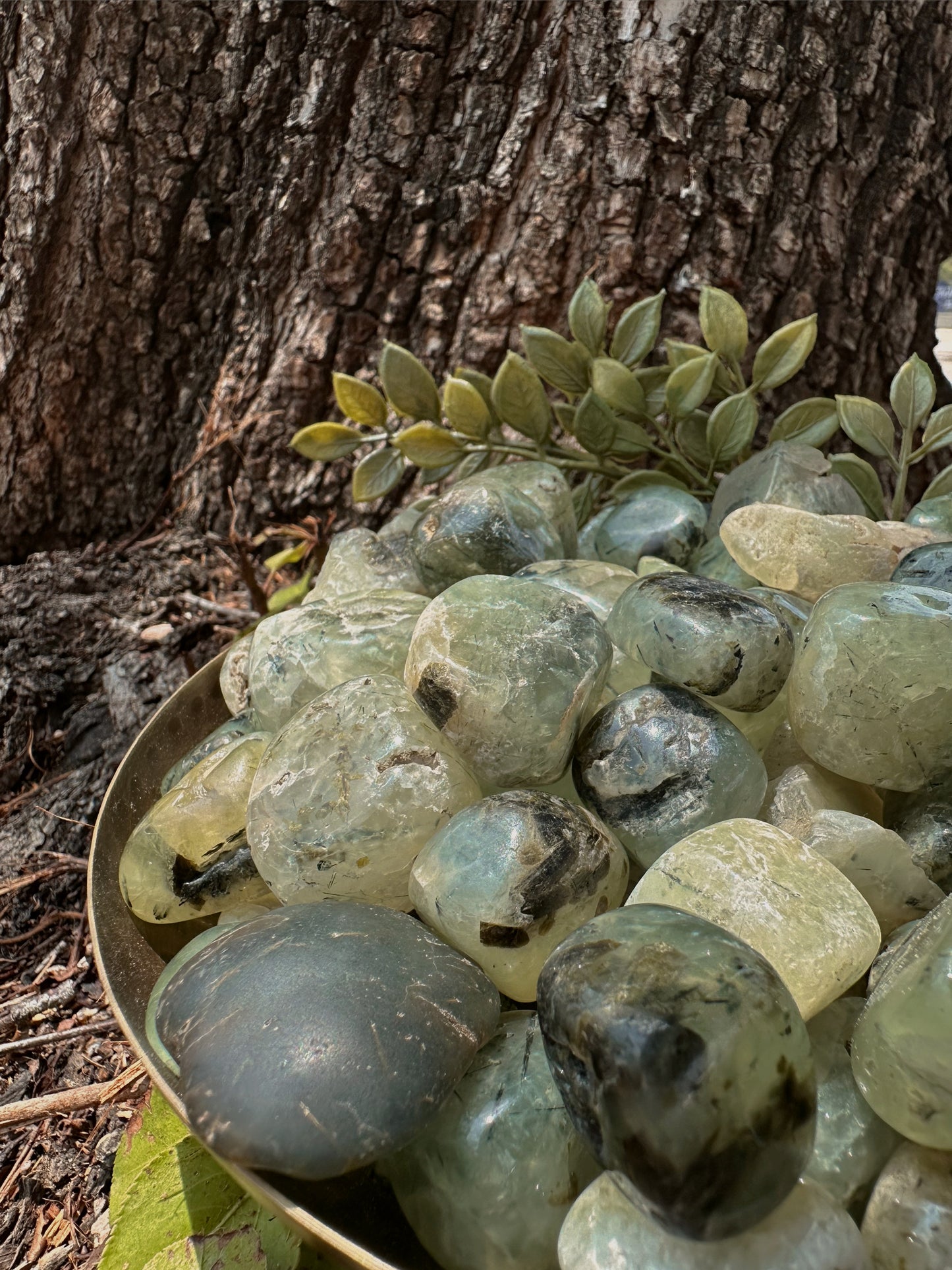 Prehnite