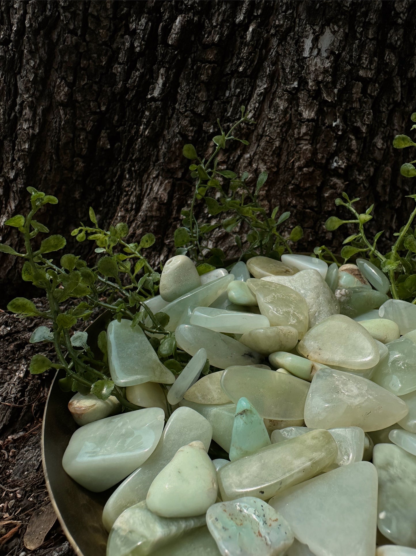 Chrysoprase - Tumbled