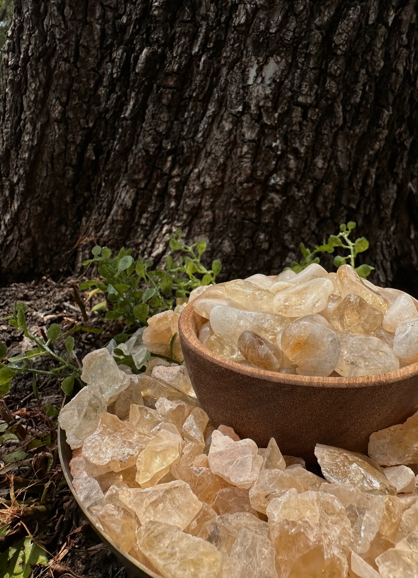Citrine - Heat Treated