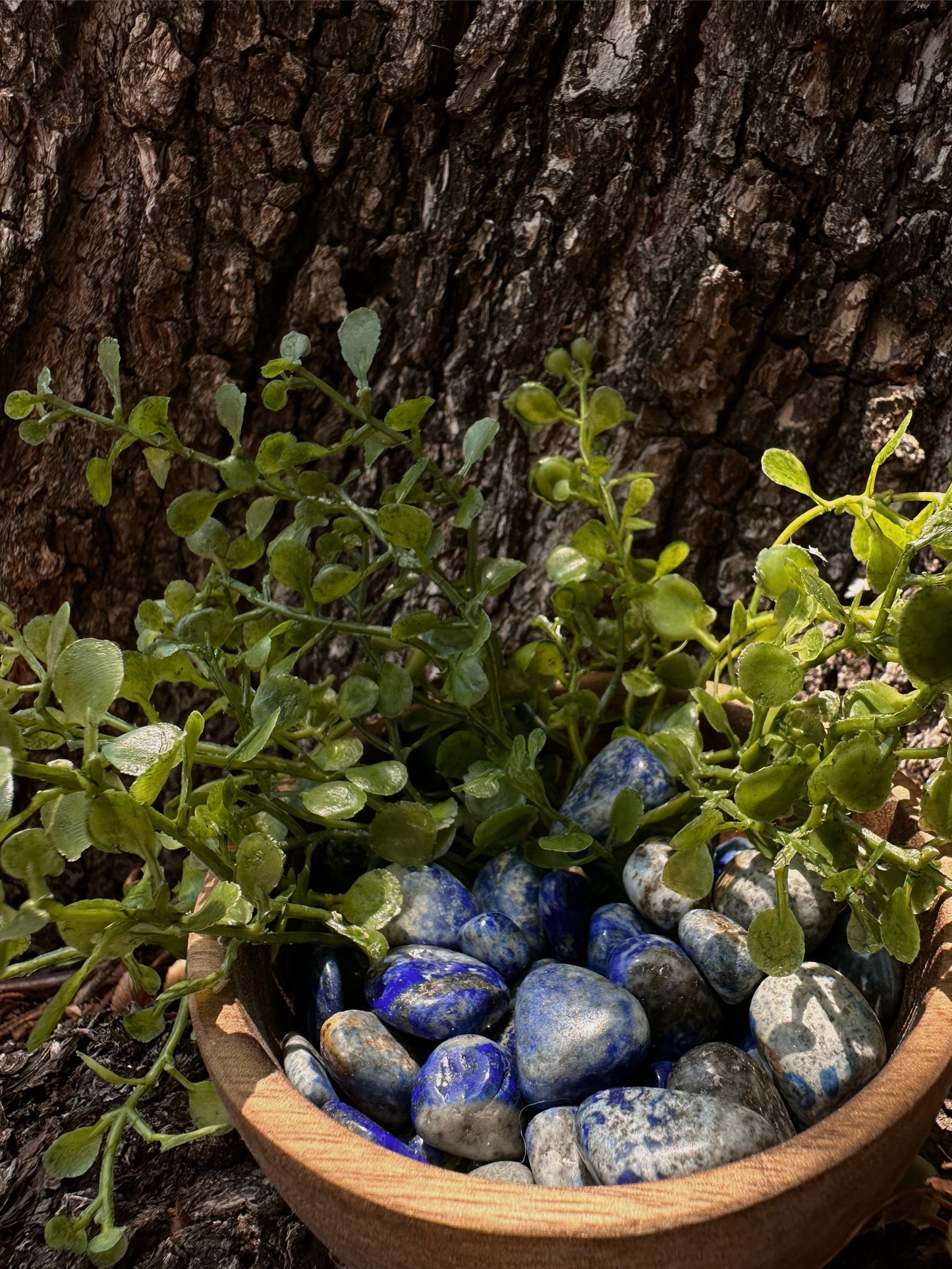 Lapis Lazuli - Tumbled, Small