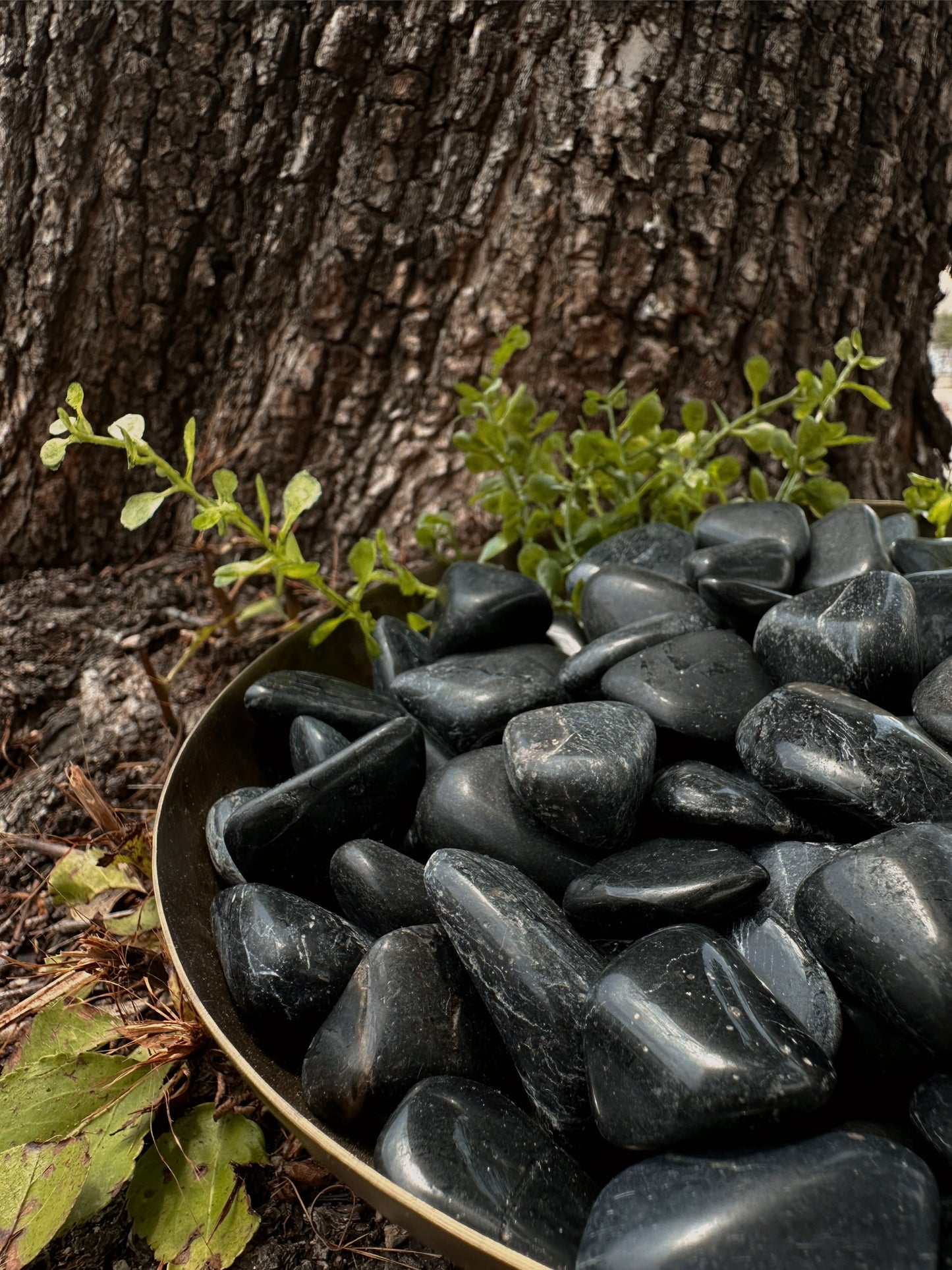 Black Onyx - Tumbled