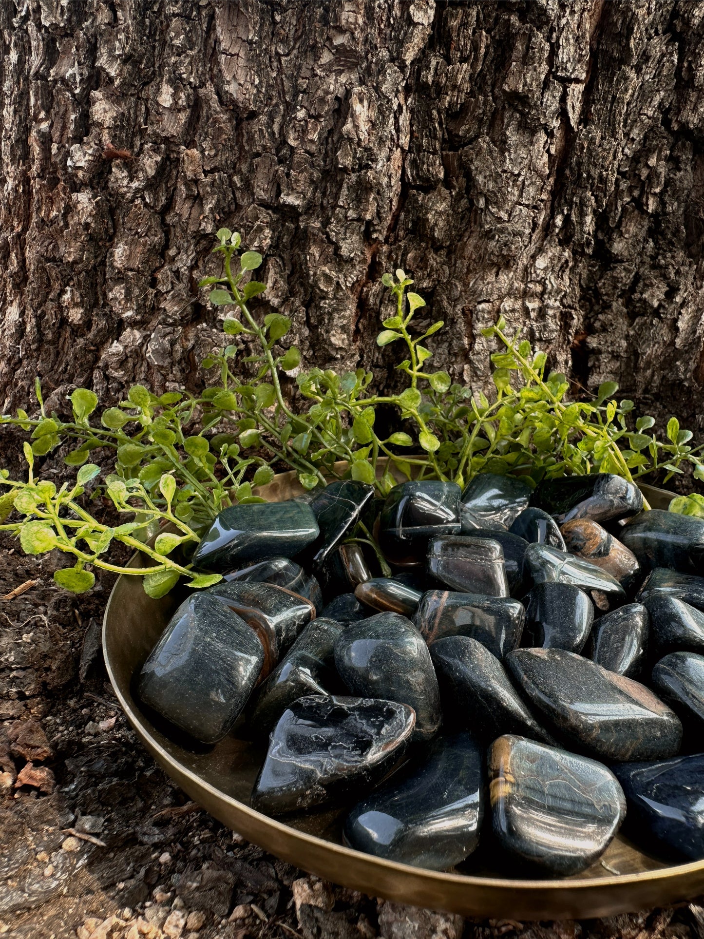 Blue Tiger's Eye - Tumbled