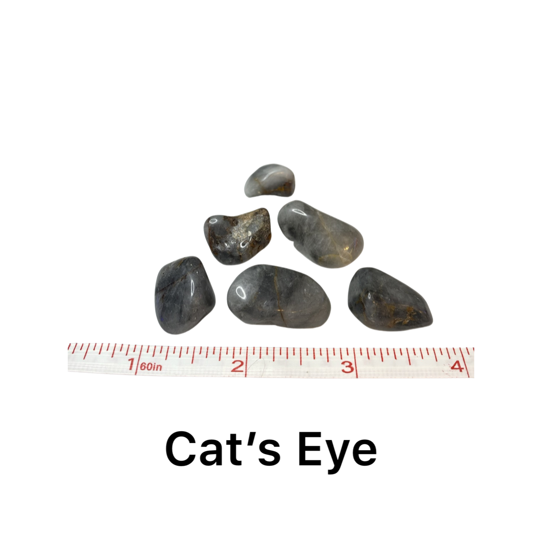 Cat's Eye