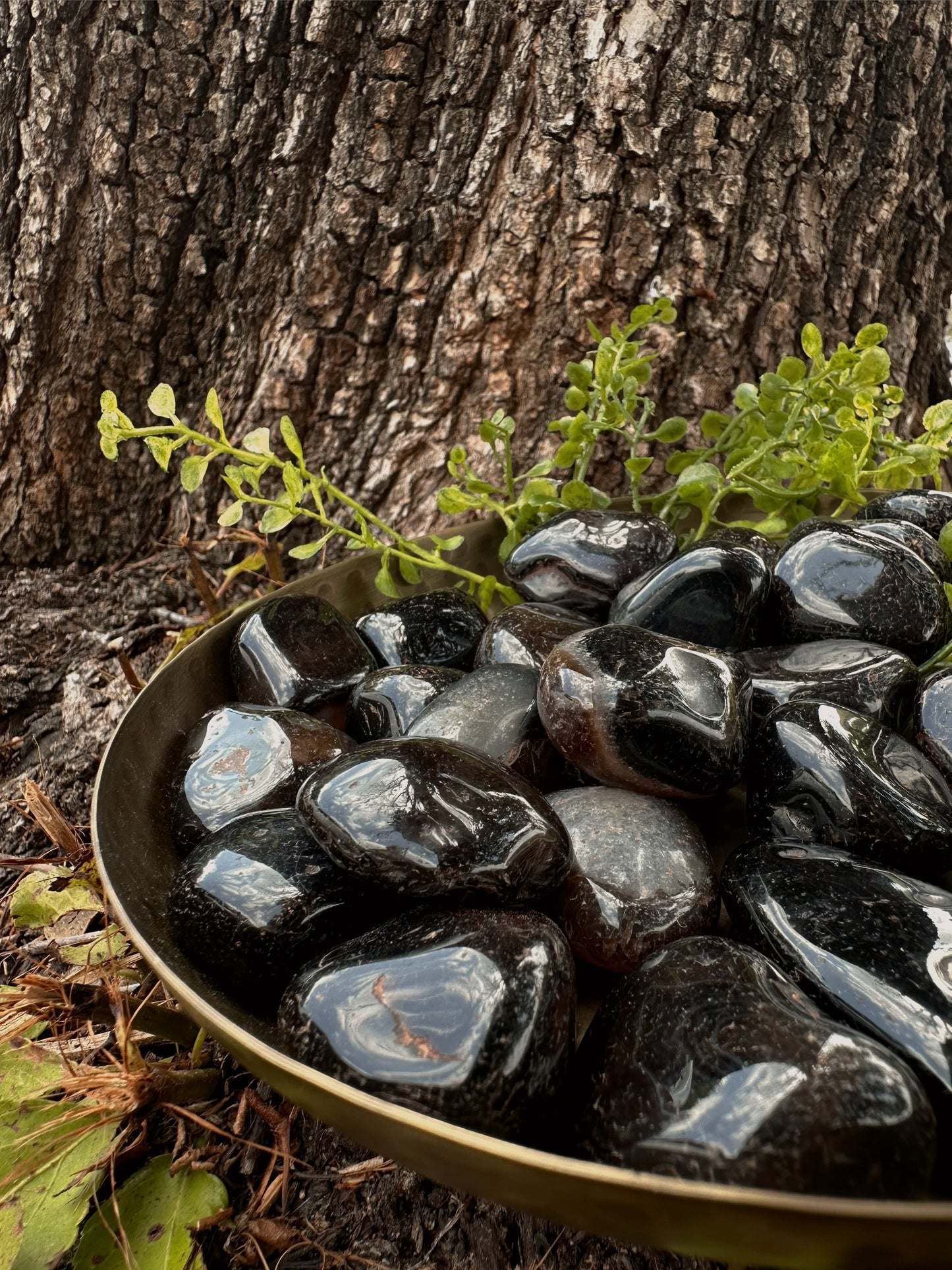 Black Agate - Tumbled