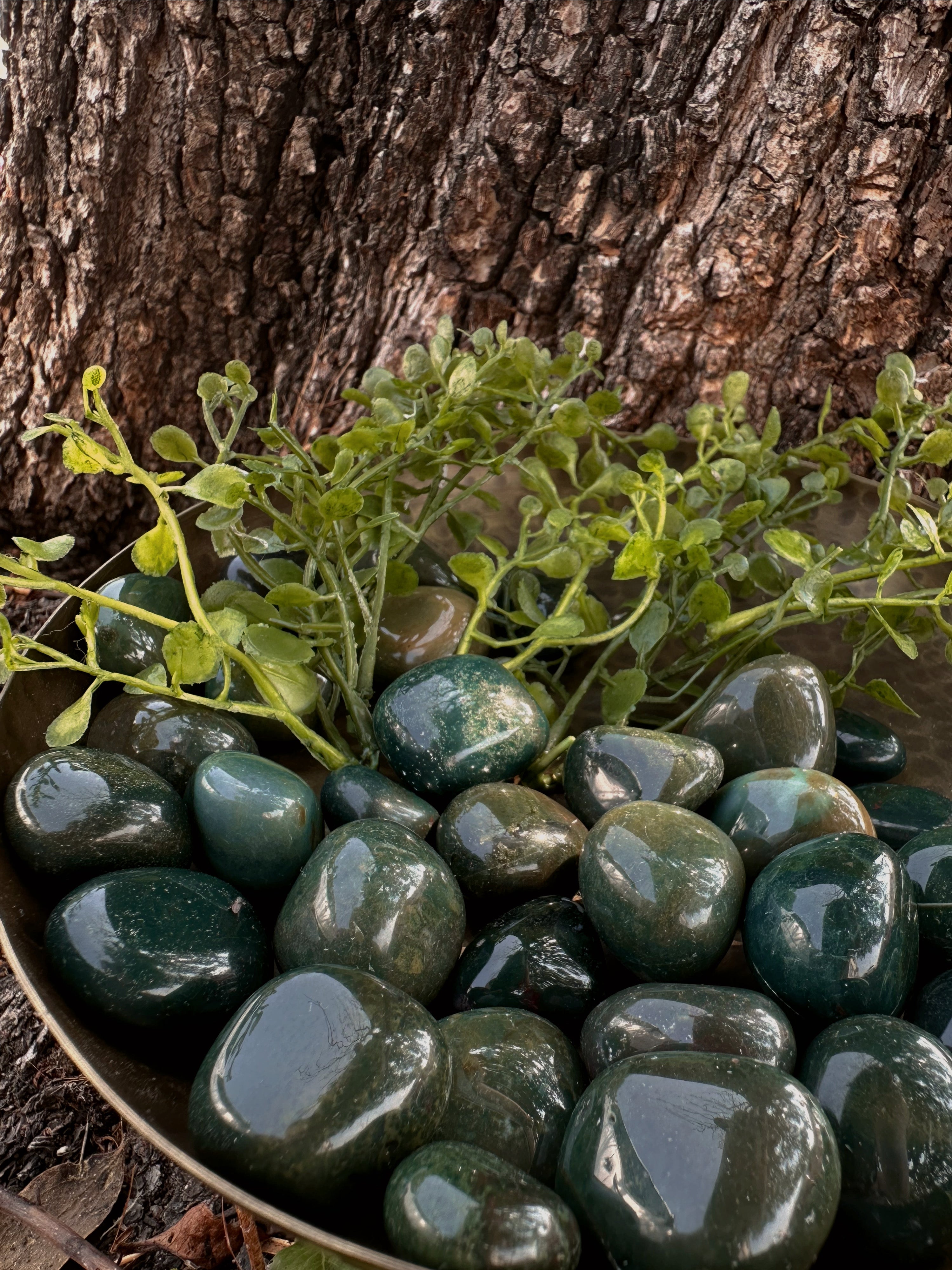 Tree with hot roots, Bloodstone