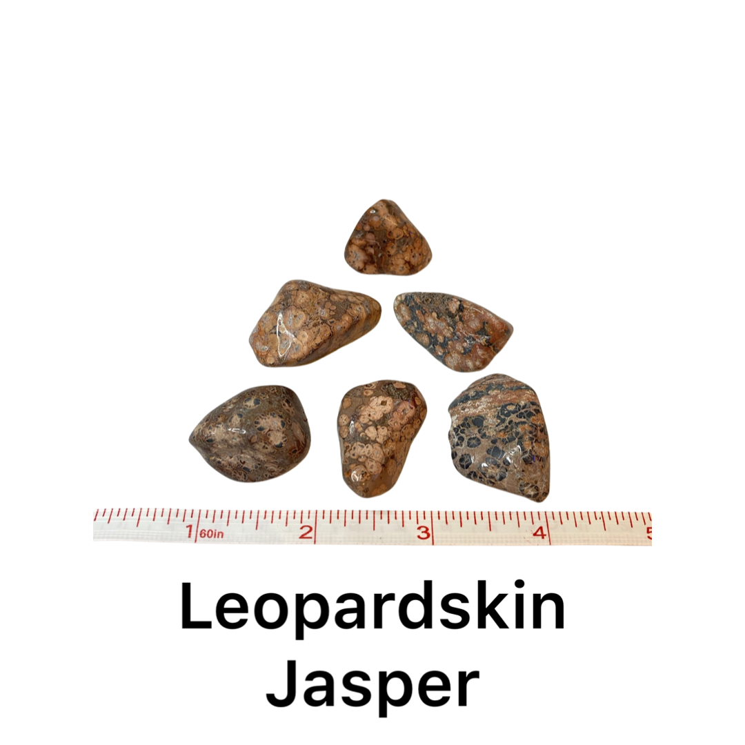 Leopardskin Jasper